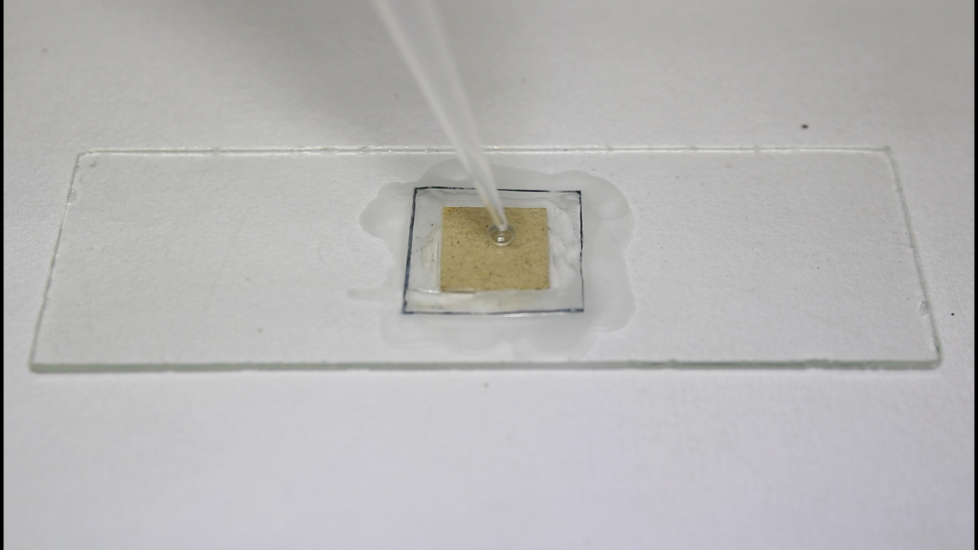 「乾的除染収納袋『ホタテ』の開発」について