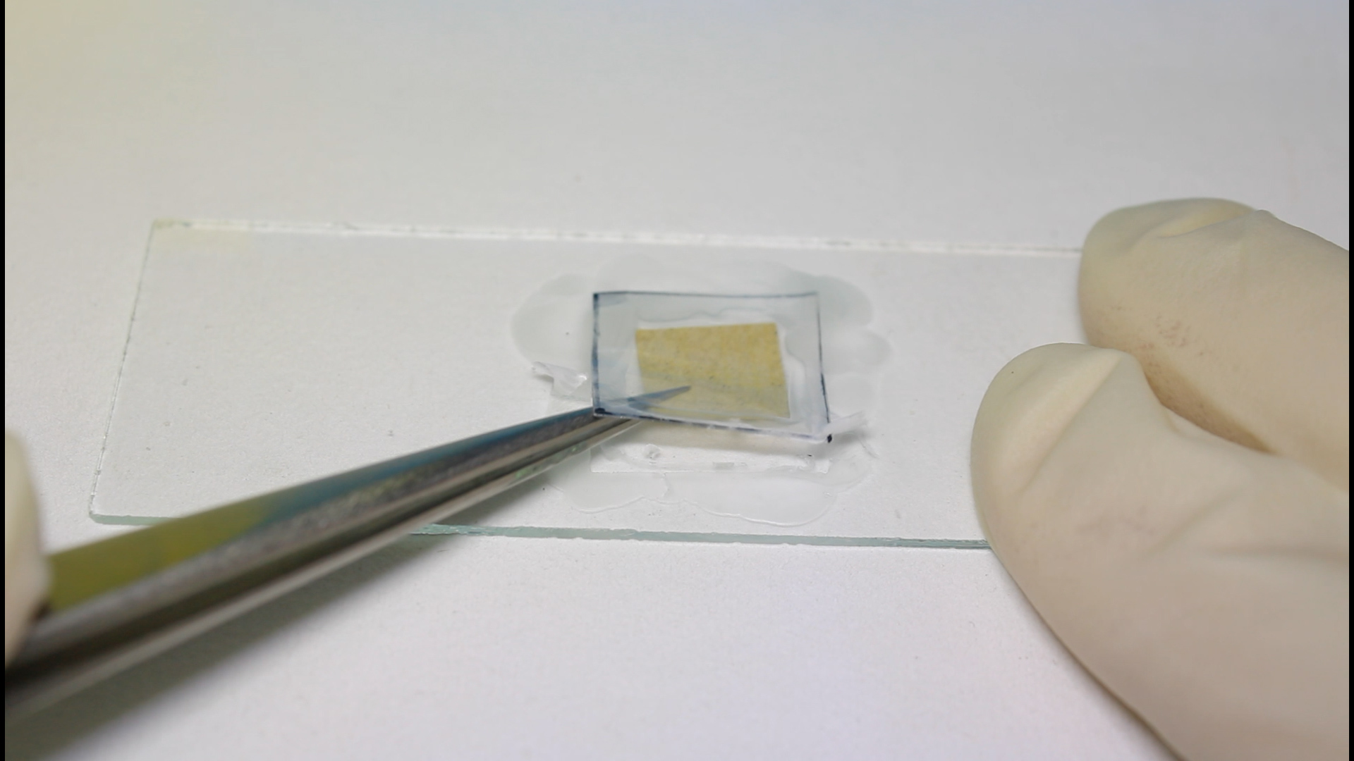 「乾的除染収納袋『ホタテ』の開発」について